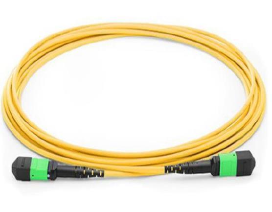 MPO / MTP patch cord